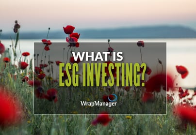 Introduction to ESG Investing